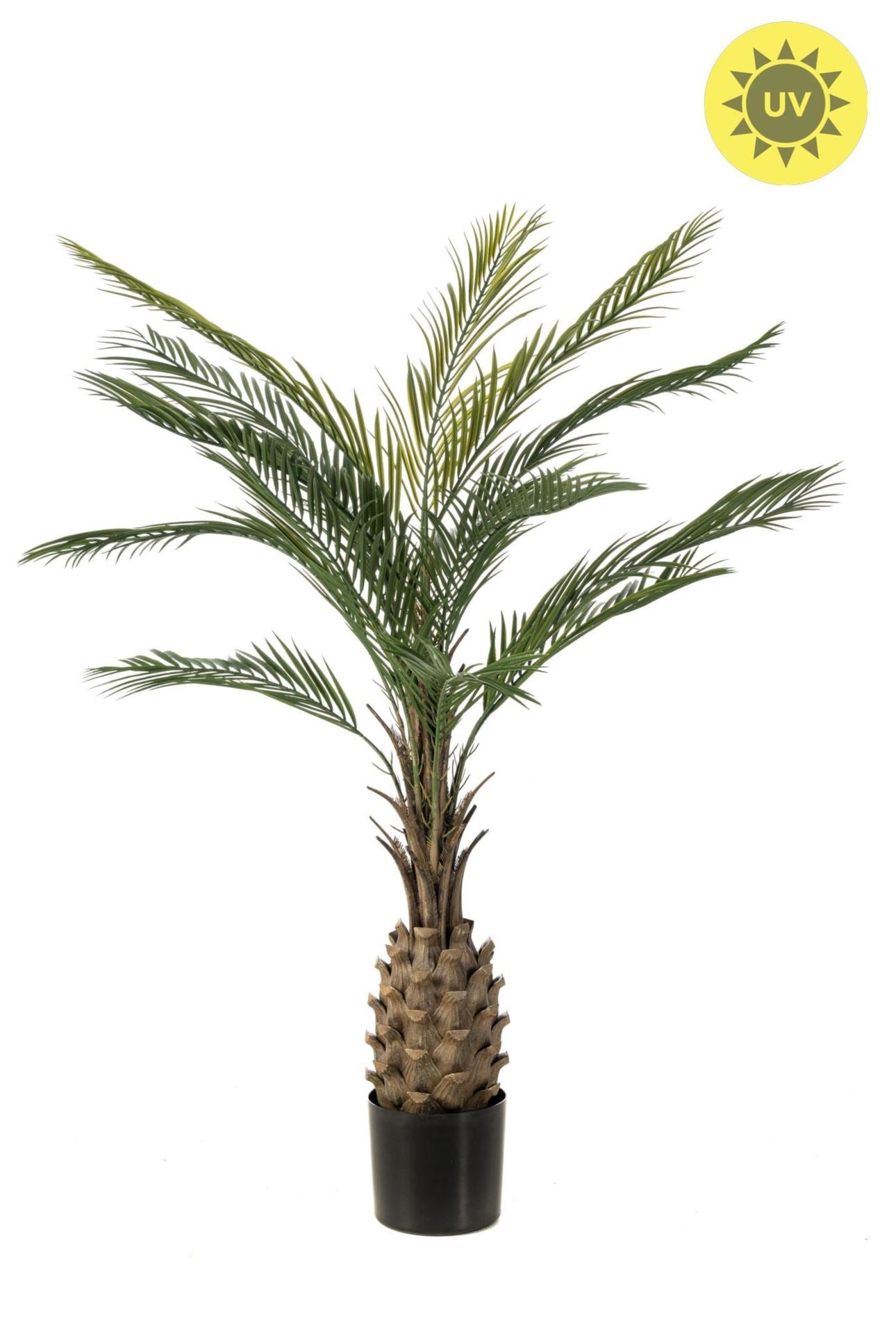 Palm UV 150cm