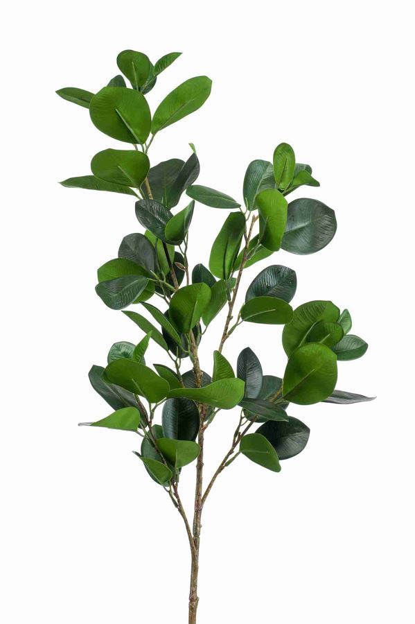 Ficus panda spray green 90cm