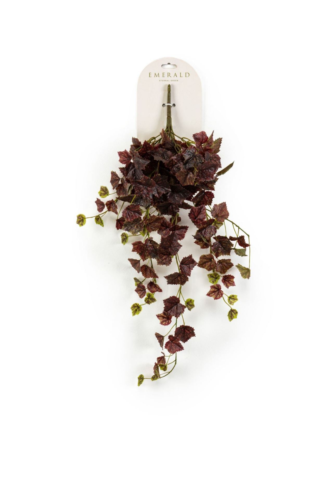 Grape hangende struik burgundy 60cm