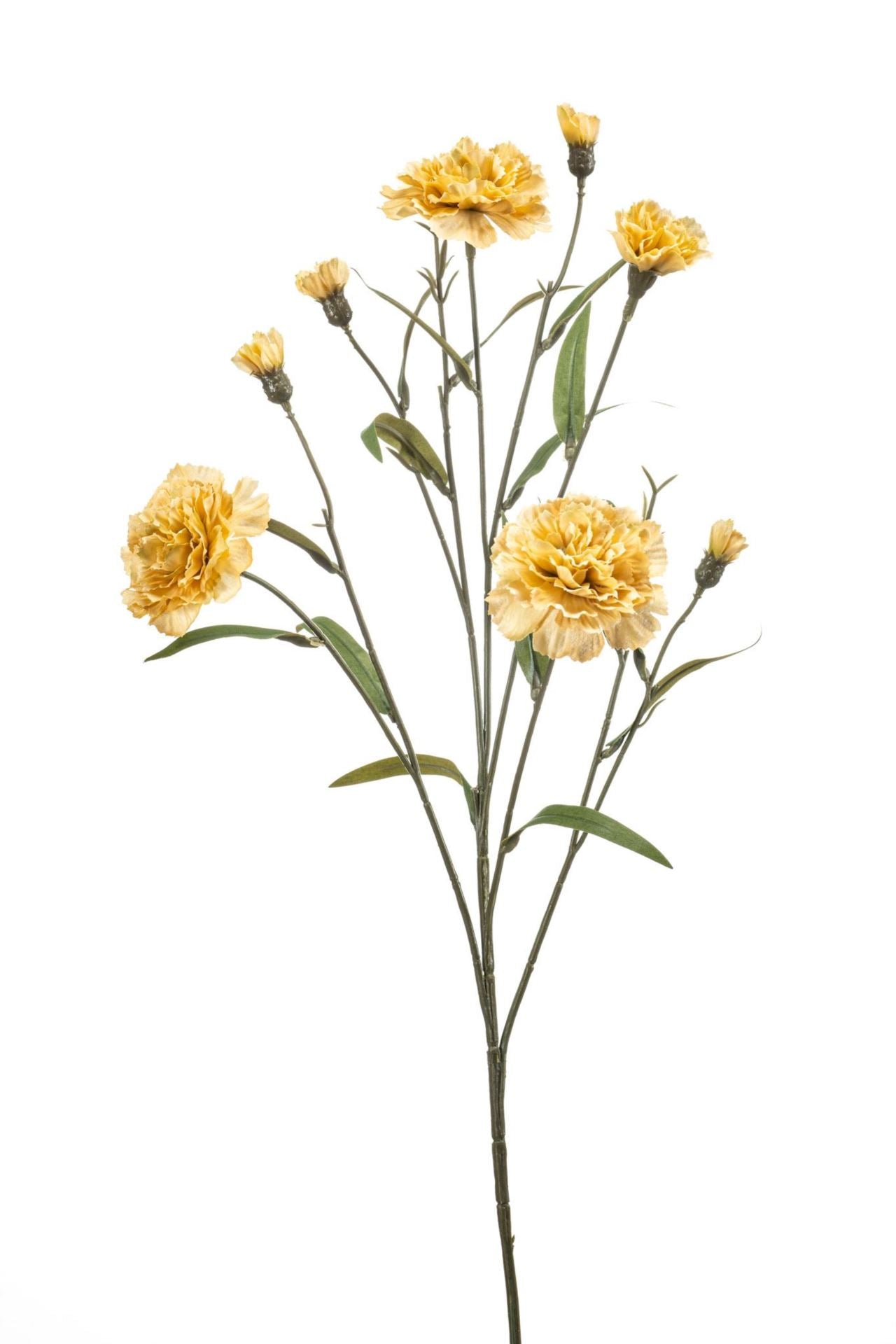 Dianthus spray beige 70cm