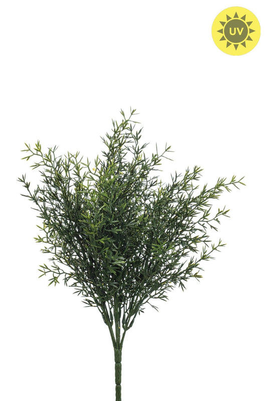 Rosemary bush UV 35cm