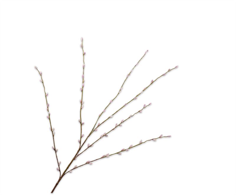 Wilgentak 111cm roz/grn 24/ds