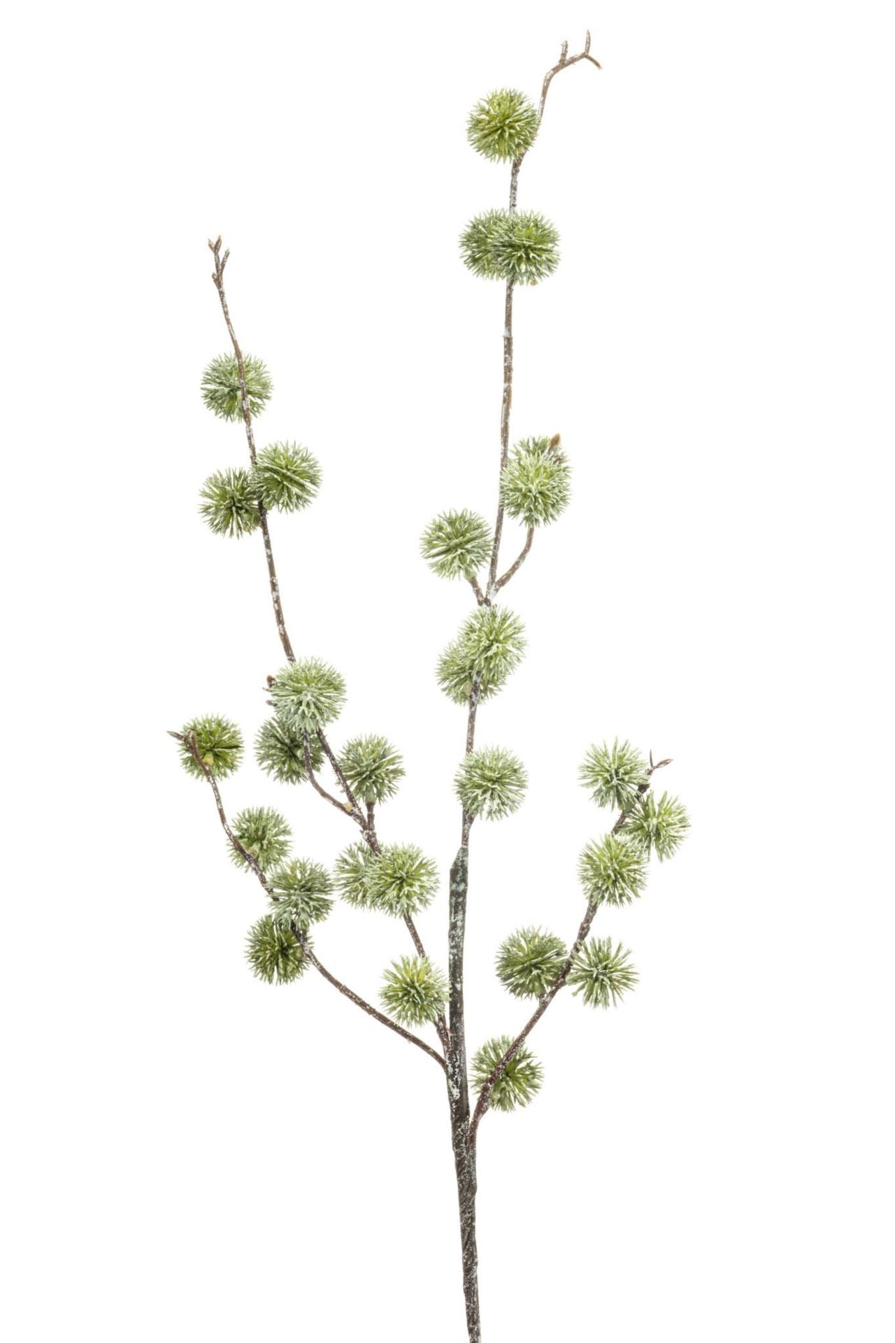 Chestnut spray green whitewash 85cm