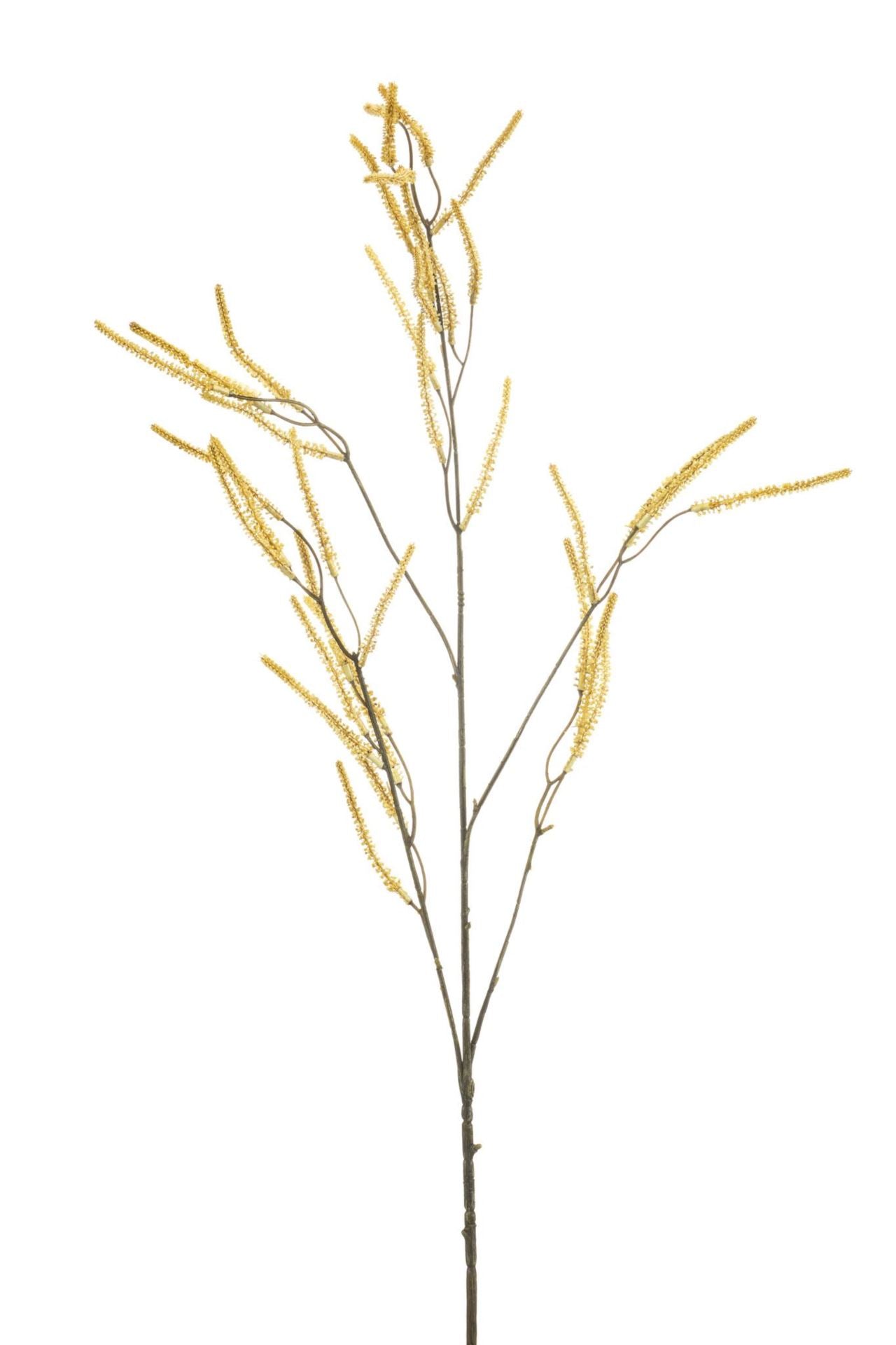 Amaranthus spray cream 100cm