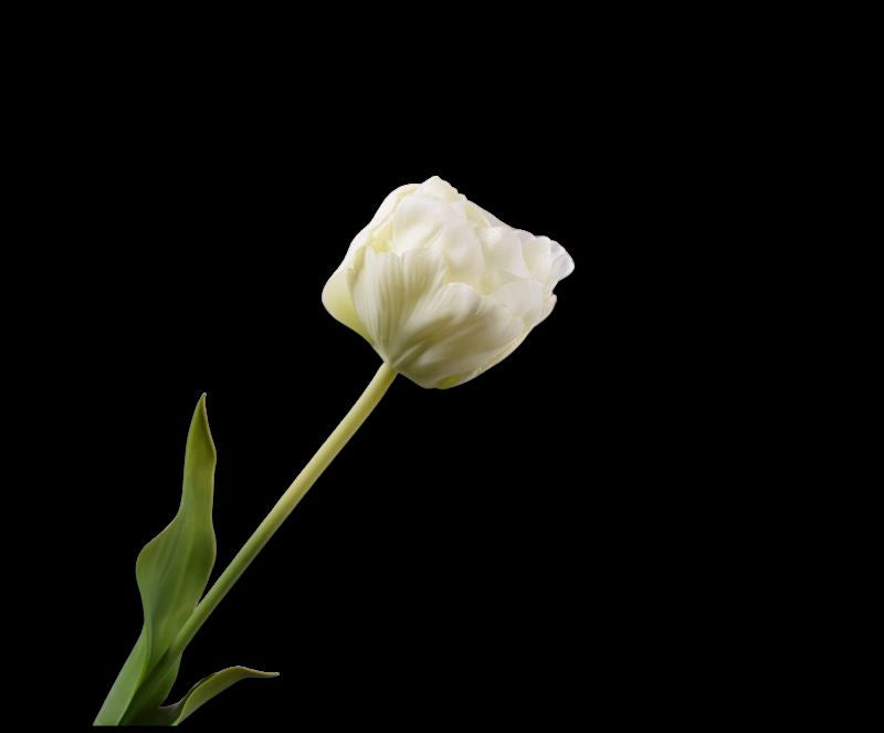 TULP STEEL WIT 66 cm