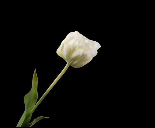 TULP STEEL WIT 66 cm