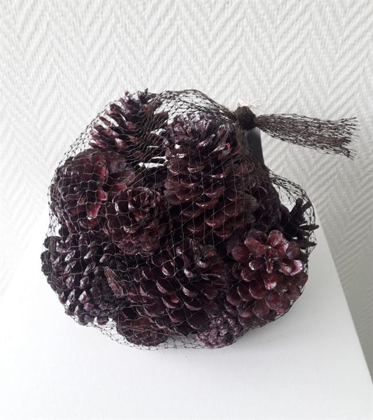 Blue pine cones pearl wash brombeer