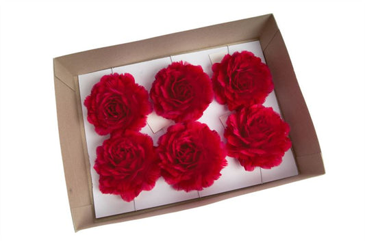 Rozen veren 10 cm met clip rood