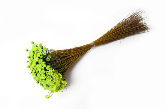 Glixia appelgroen