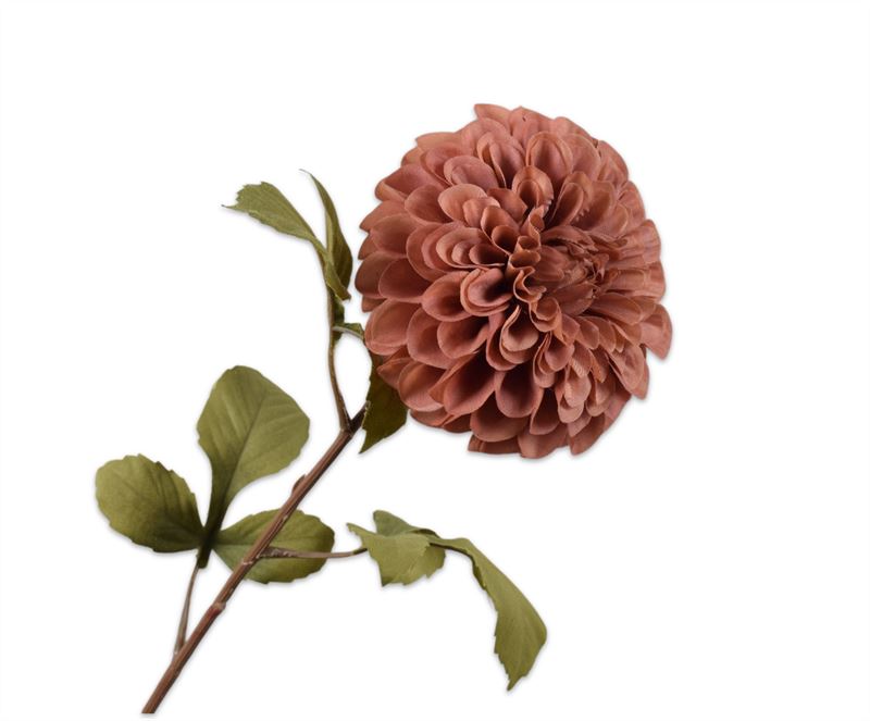 DAHLIA STEEL BRUIN RT 83 cm