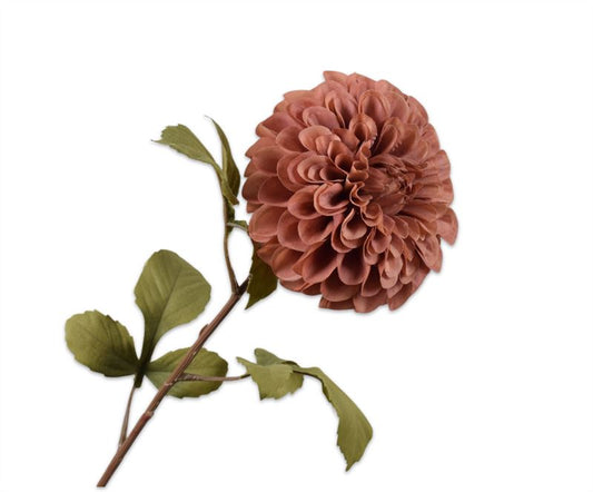 DAHLIA STEEL BRUIN RT 83 cm