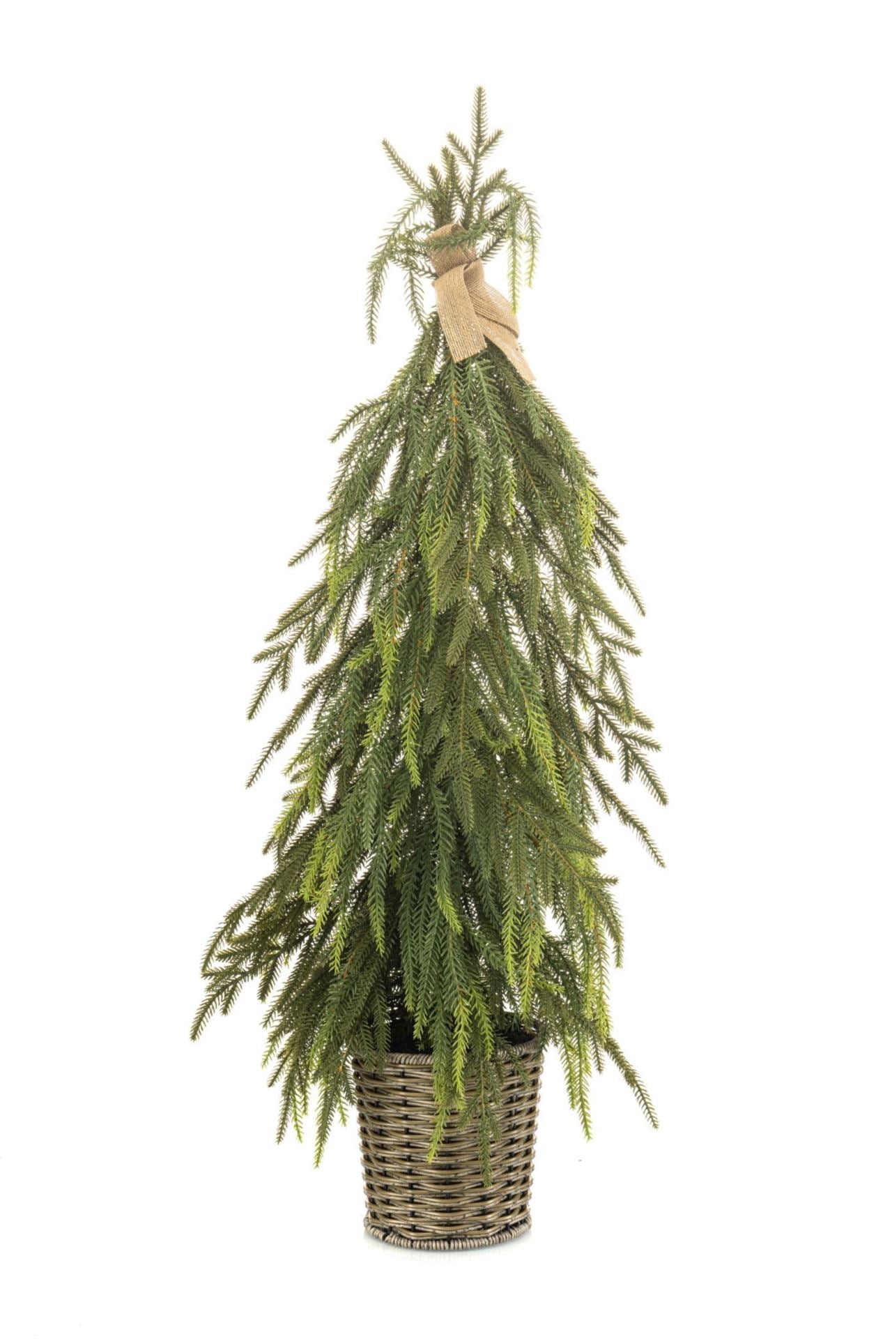 Pine tree in pot 90cm