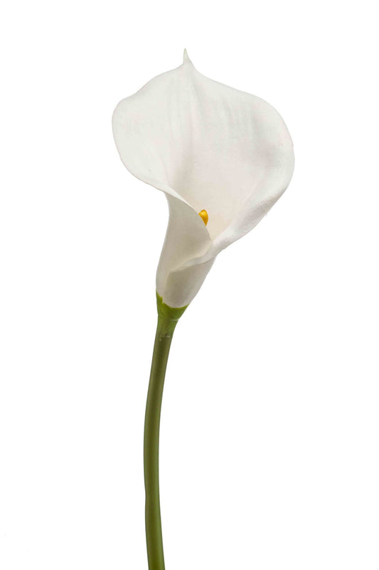 Calla Lily steel wit 70cm