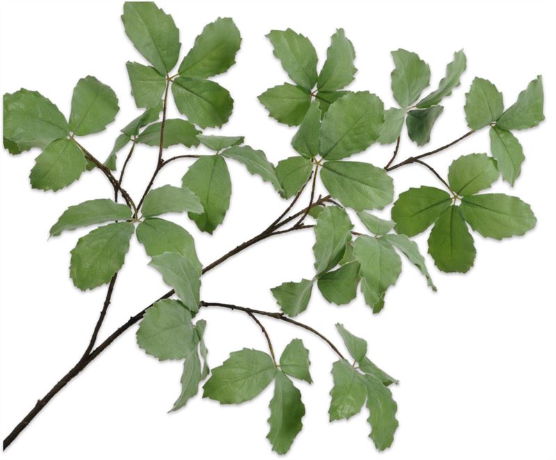 Tak blad 160cm groen 6/ds