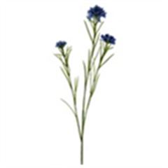 Cornbloemen tak blauw 68cm 24/ds á 24 stuks