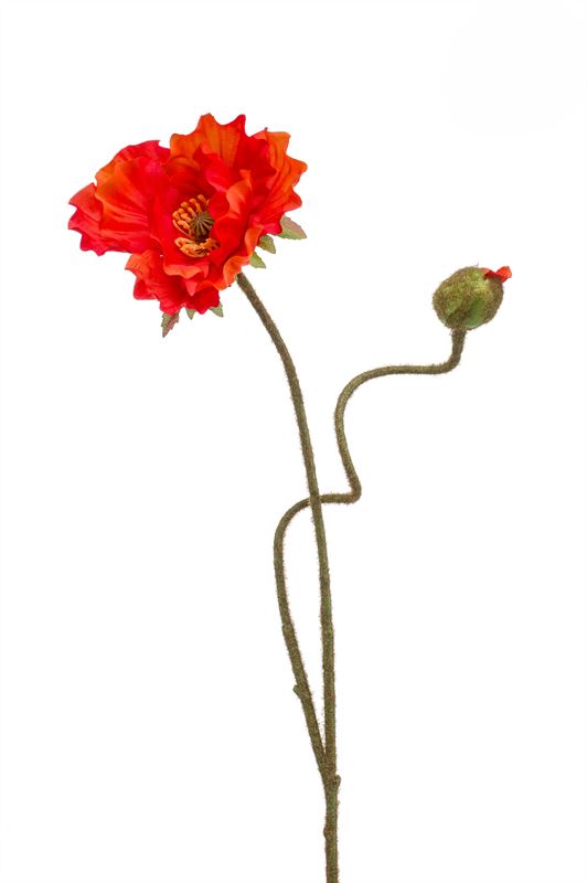 Poppy spray x2 rood 74cm