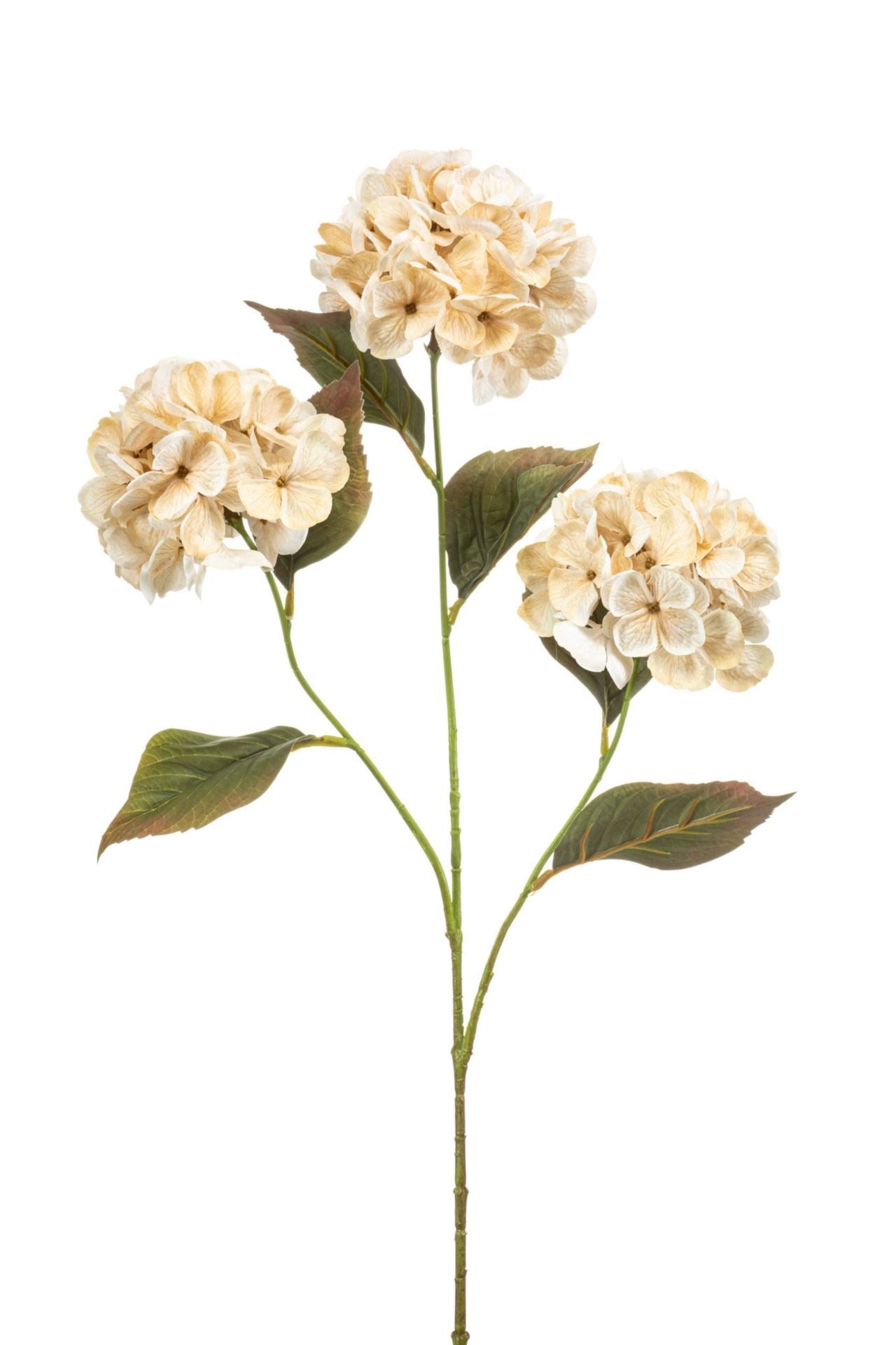 Hydrangea spray cream 77cm