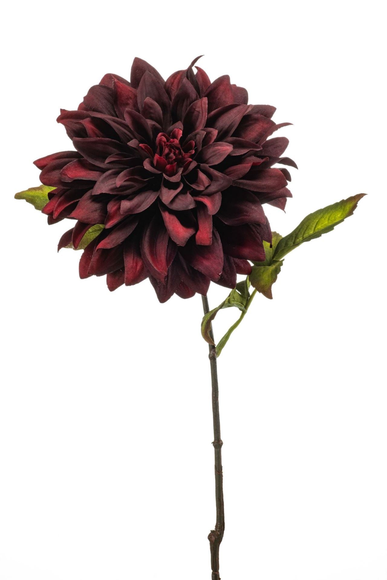 Dahlia spray burgundy 55cm
