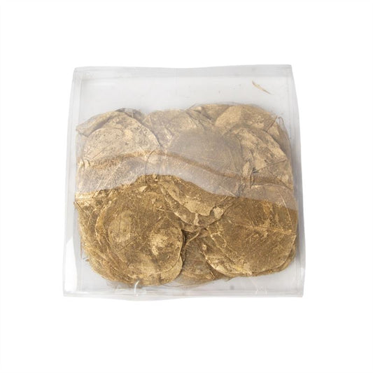 Skeleton leaves goud