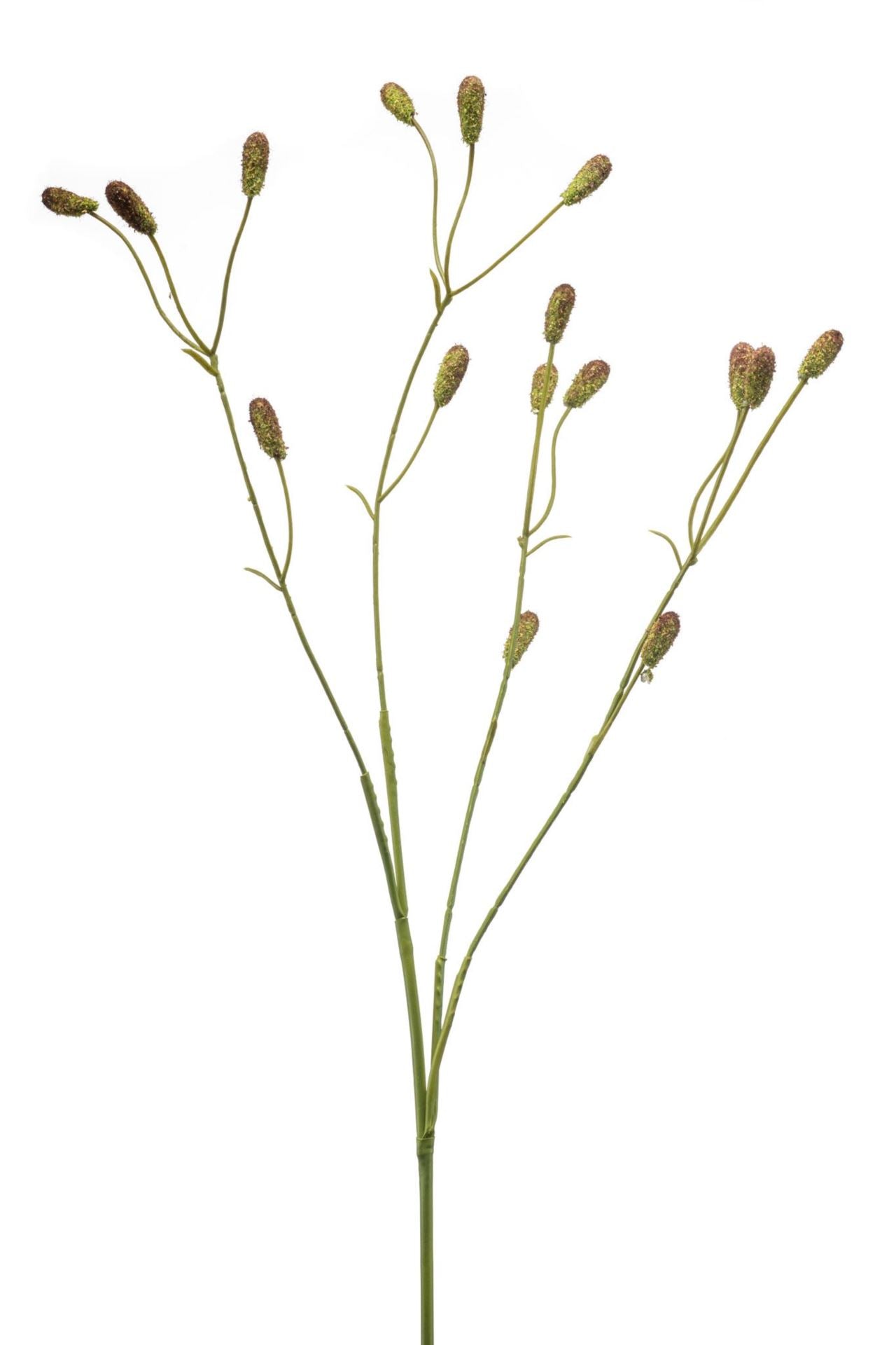 Sanguisorba spray green/brown 78cm