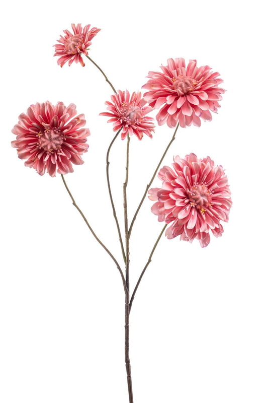 Zinnia spray pink 88cm