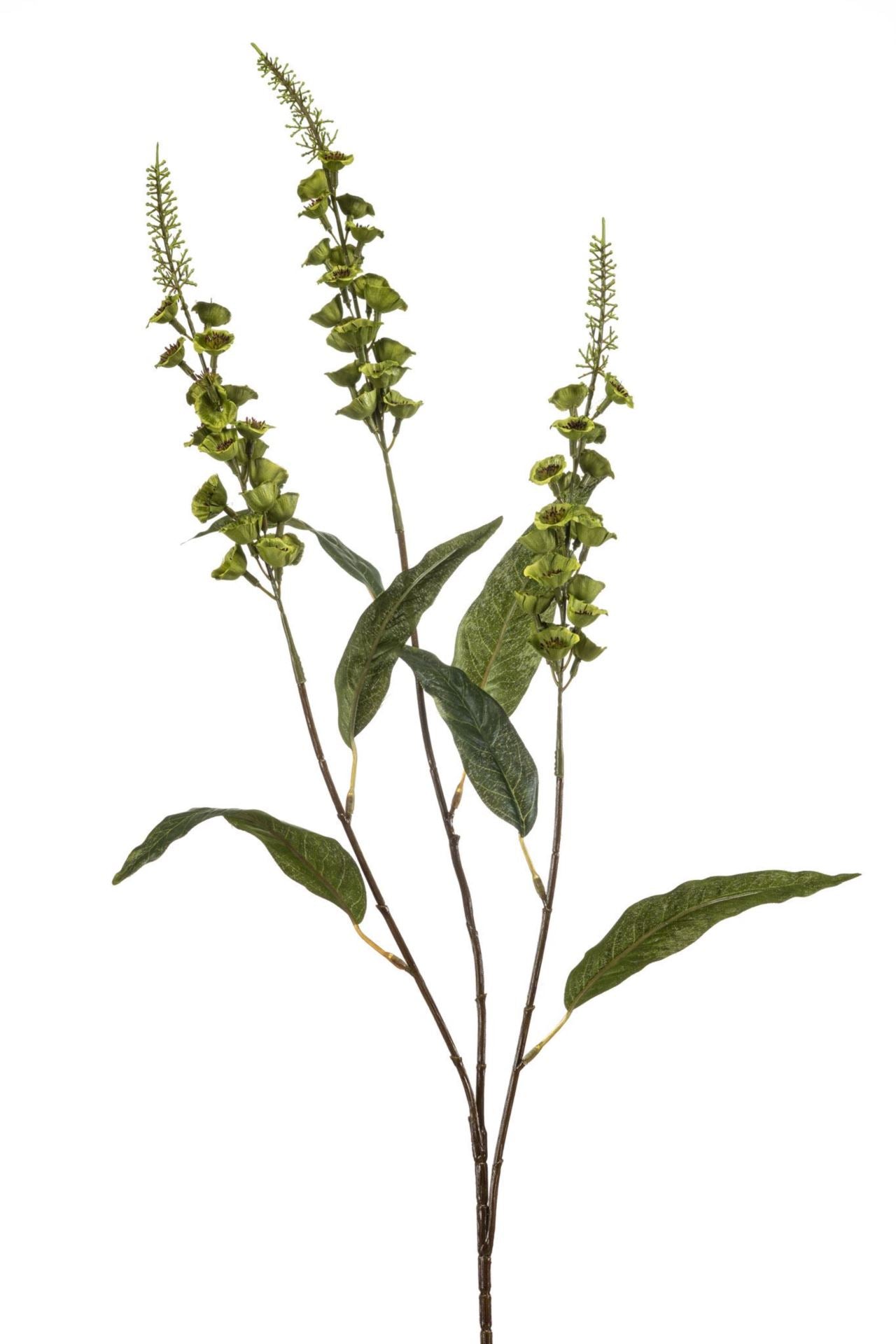 Veronica spray green 97cm