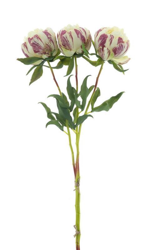 Paeony Marlie 3 pcs cream 63cm