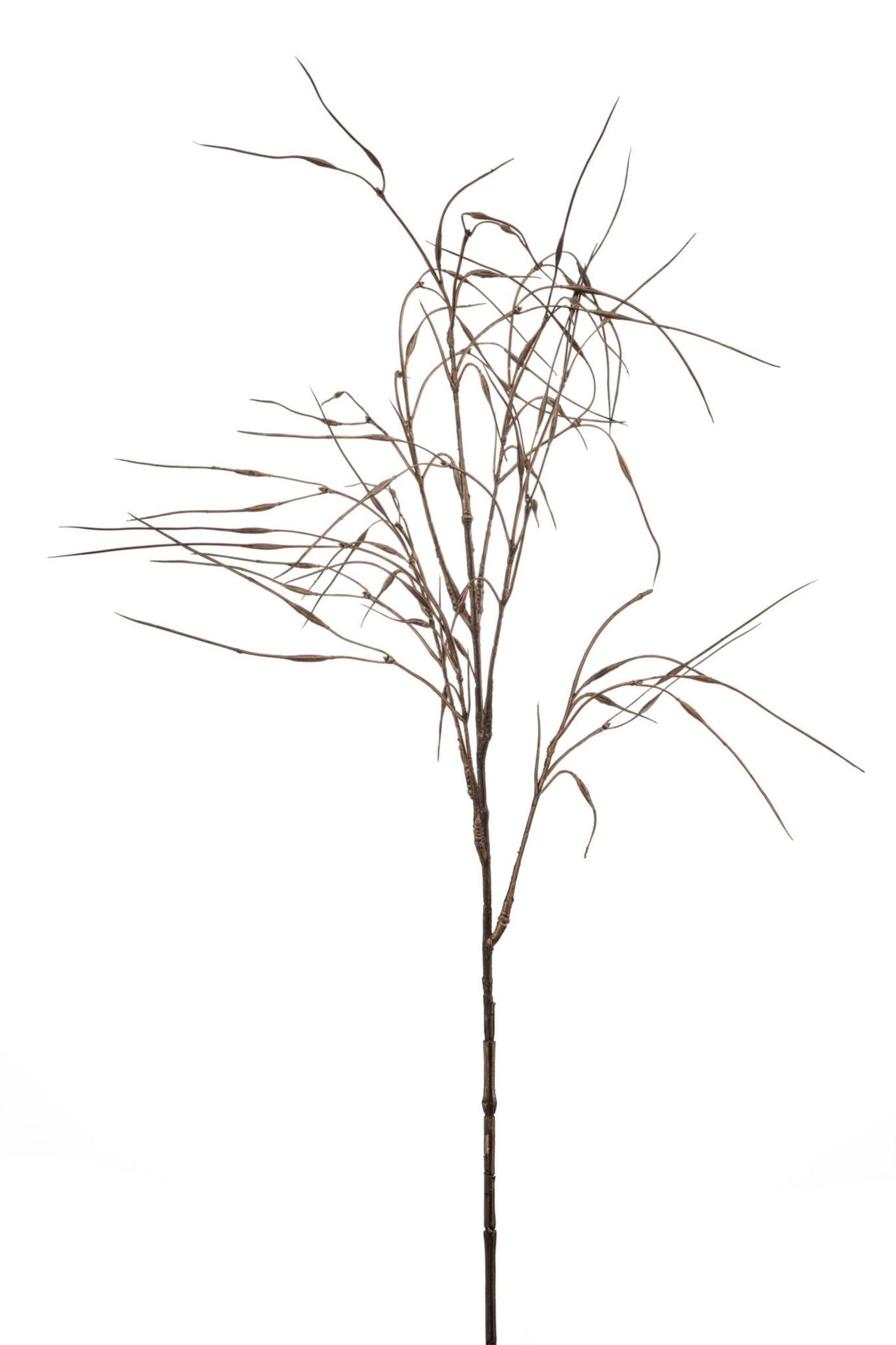 Stipa spray brown 80cm