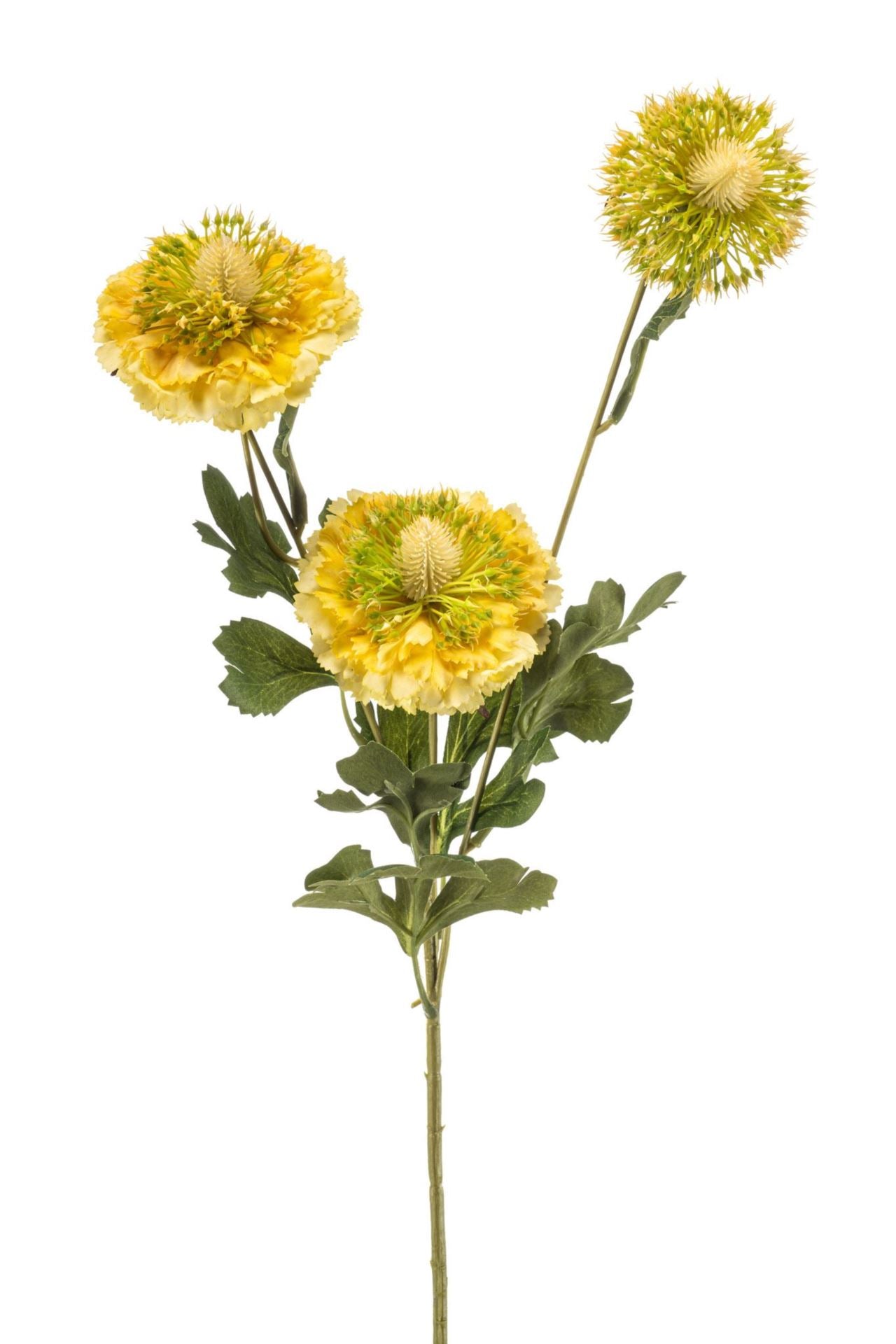 Scabiosa spray RT yellow 78cm