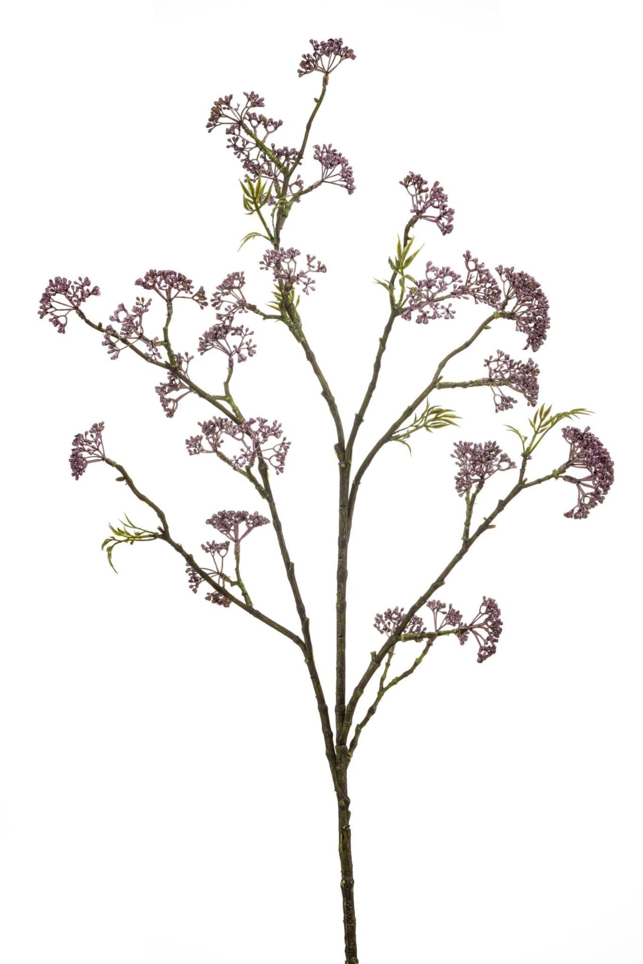 Sedum spray purple 105cm