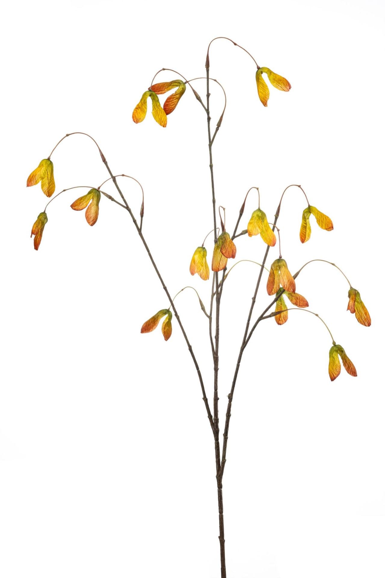 Maple seed spray orange 100cm