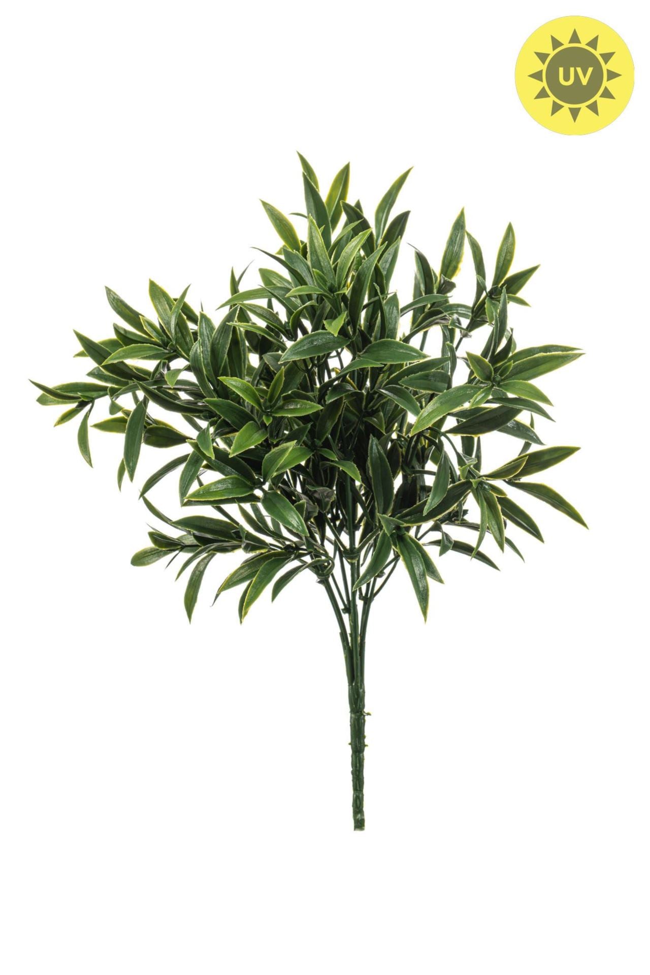 Ruscus bush UV 35cm