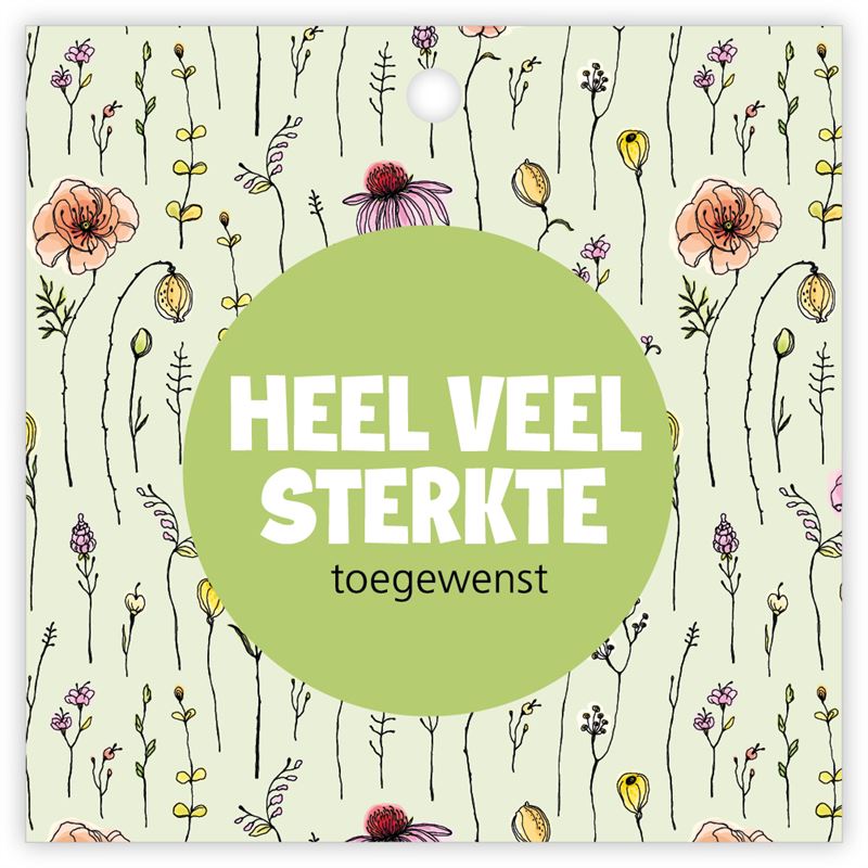 Kadokaartje 'Beetle' à 12 St. Heel