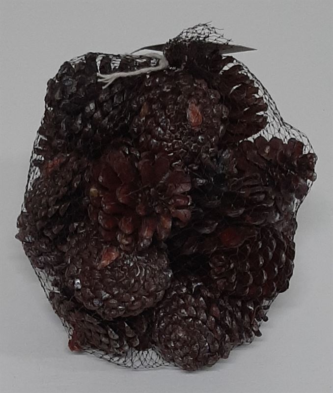 Blue pine cones pearl wash oranje