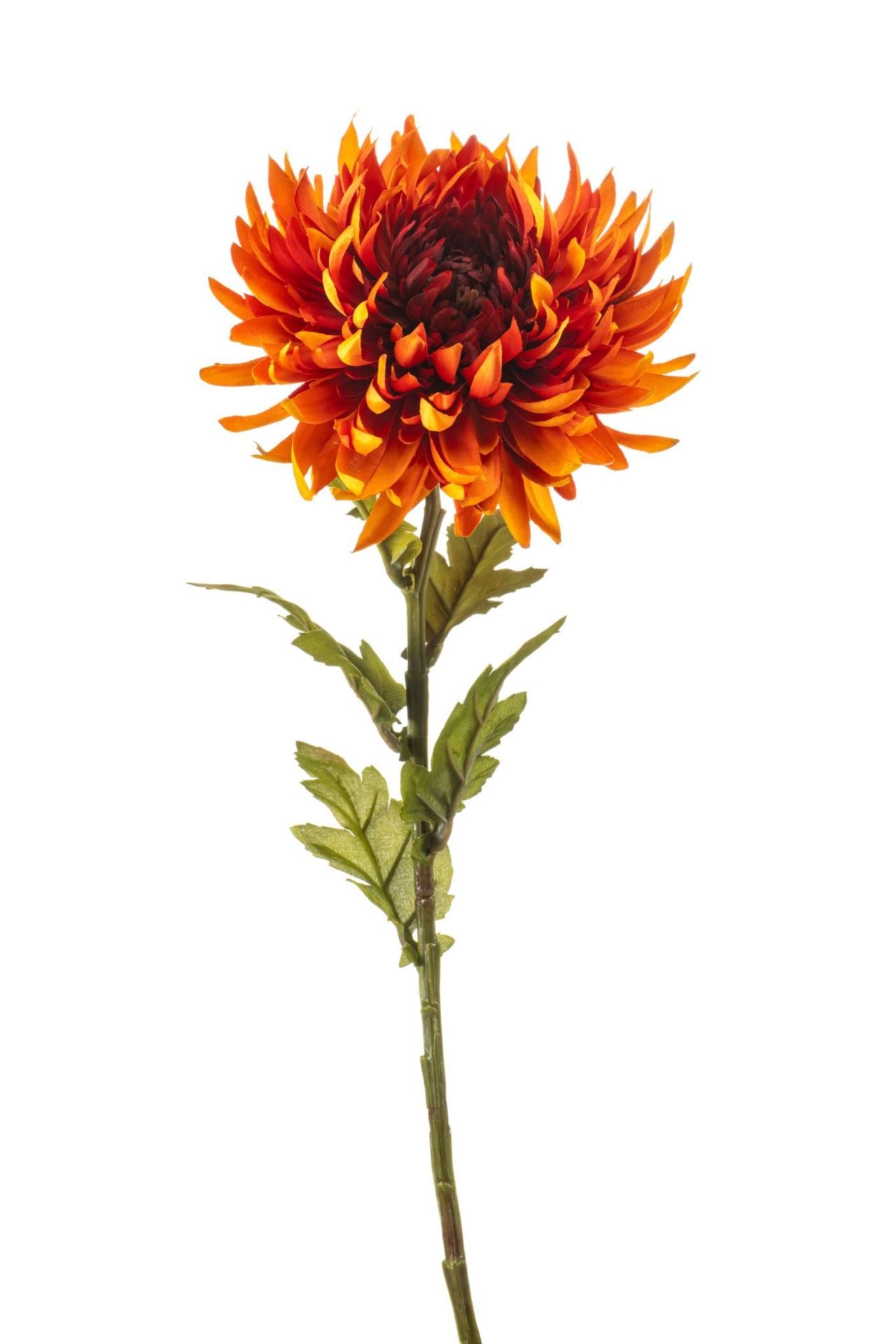Chrysantum spray orange 63cm