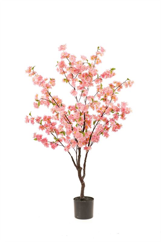 Blossom cherry tree pink 135cm