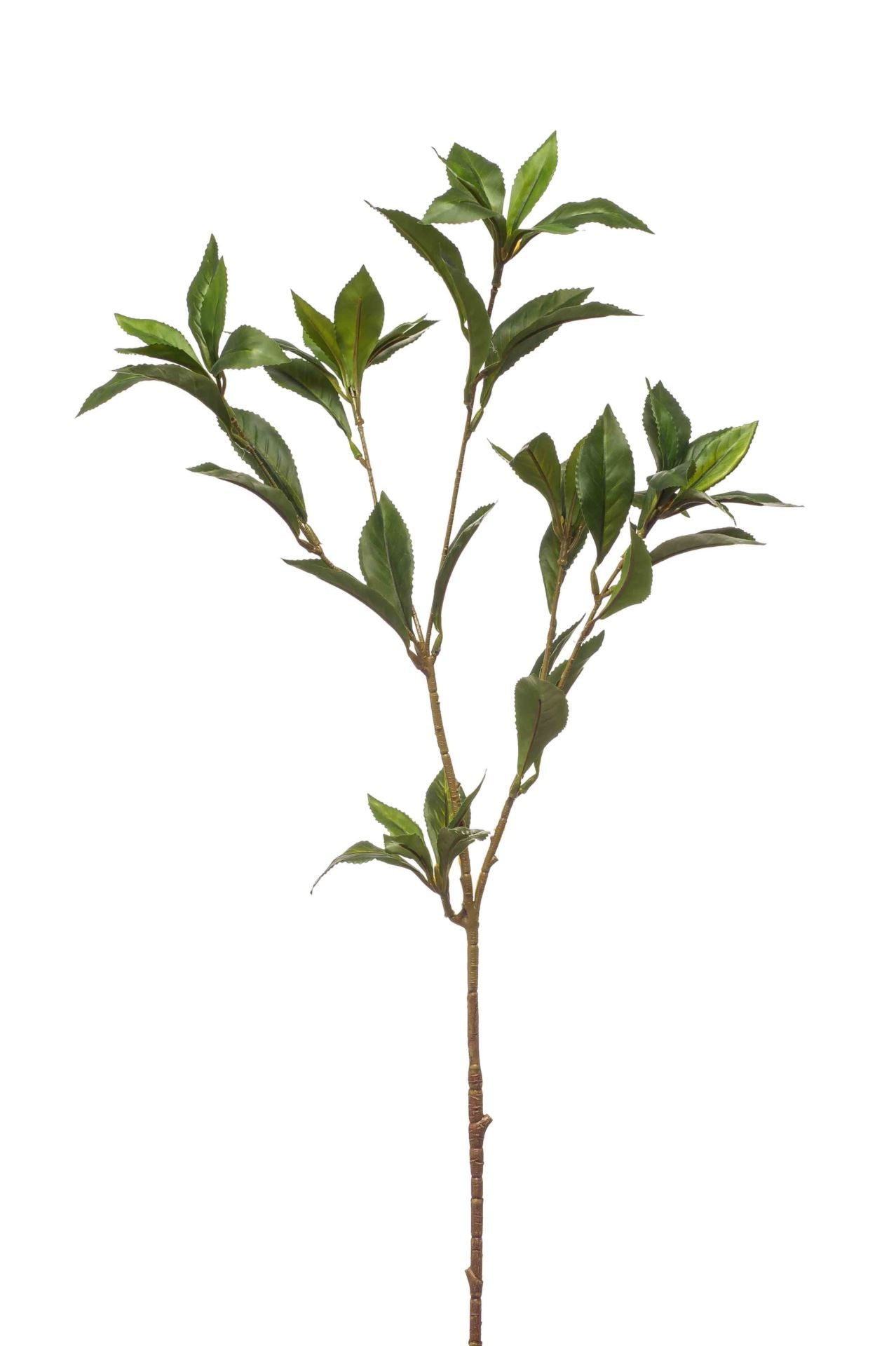 Laurel spray green 90cm