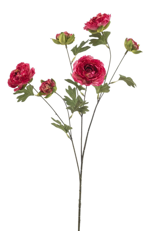 Ranunculus spray beauty 78cm