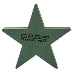 Oasis bioline ster 40x40x5,5 cm pak 