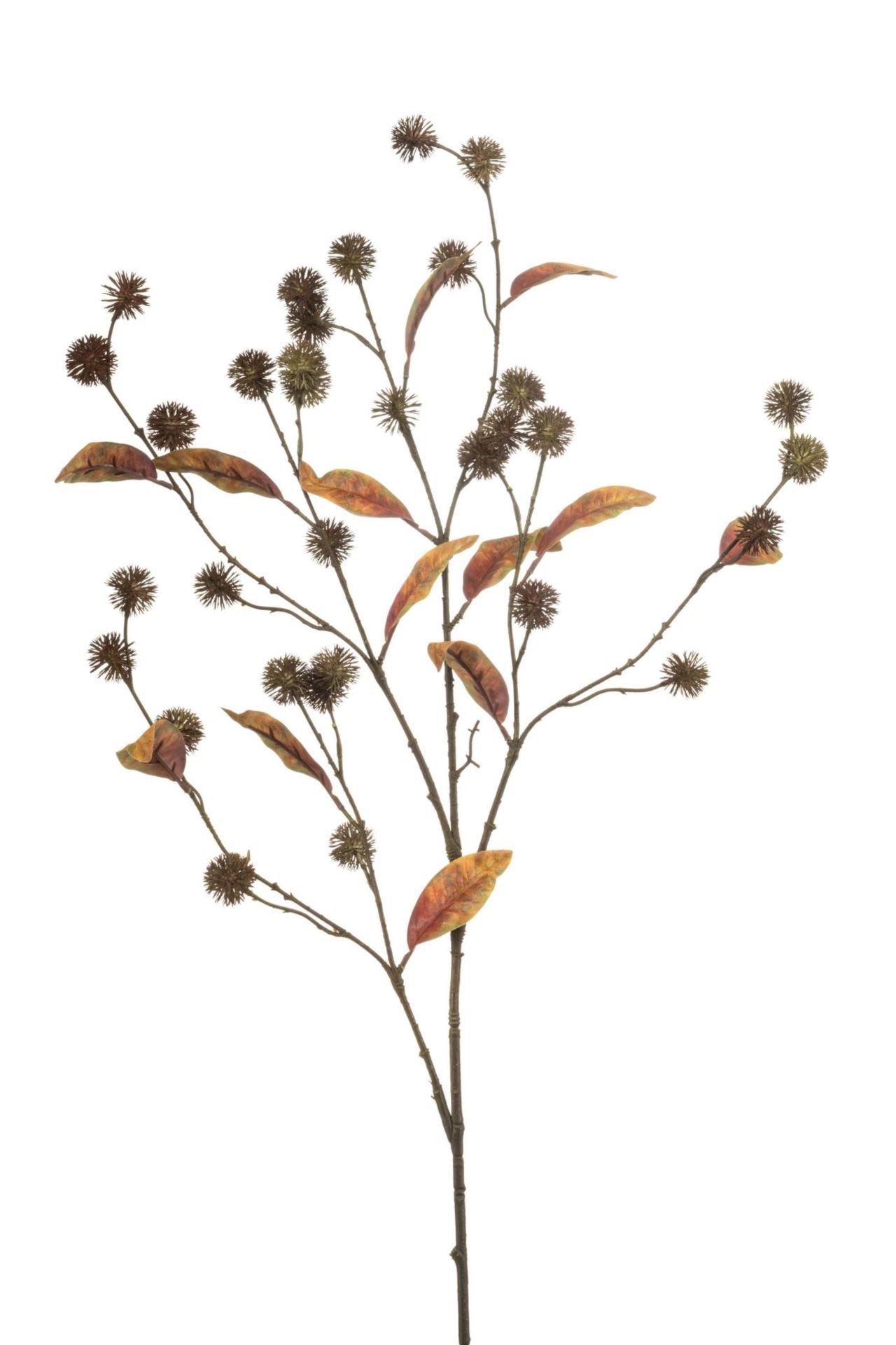 Chestnut spray w lvs brown 120cm