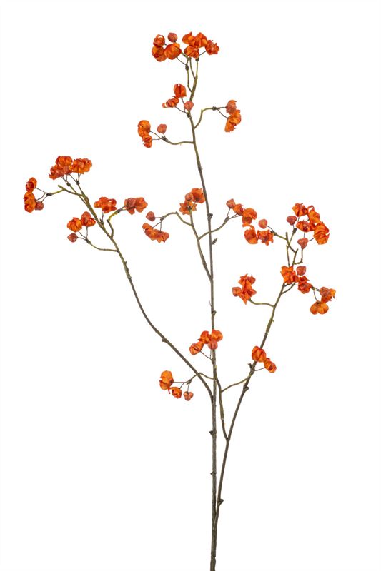 Kardinaalsmuts spray x3 90cm oranje
