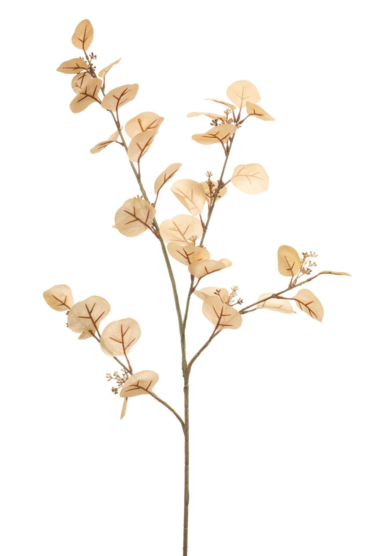 Eucalyptus spray cream 105cm