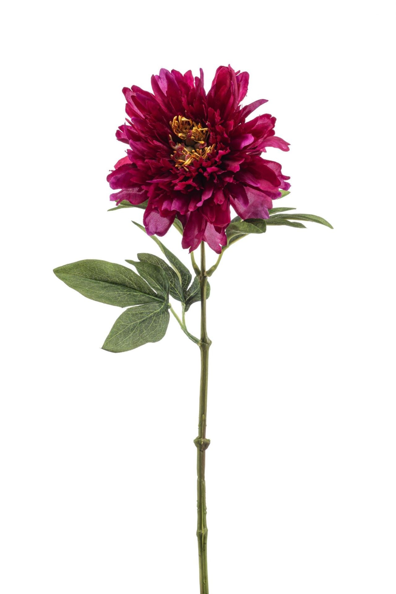 Peony spray beauty 58cm