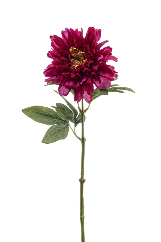 Peony spray beauty 58cm