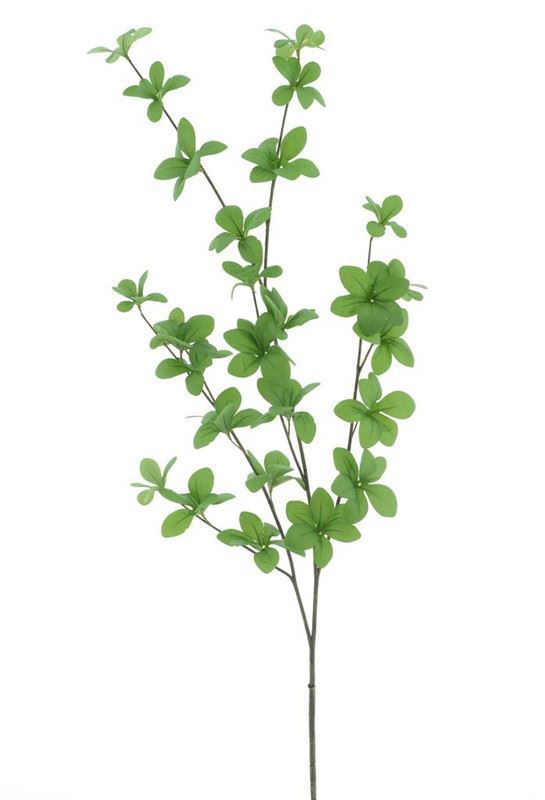 Bucida branche spray green 96cm