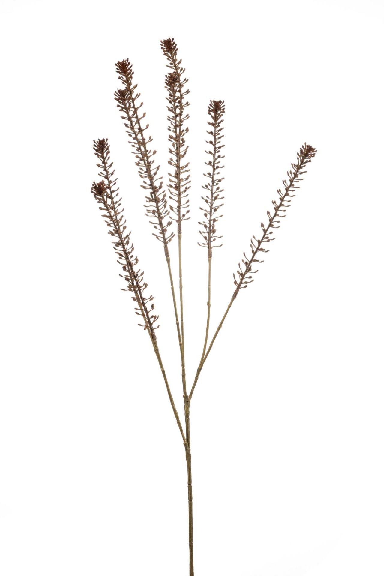 Lepidium spray brown 85cm