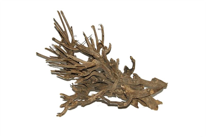 Curry bush naturel500 gr