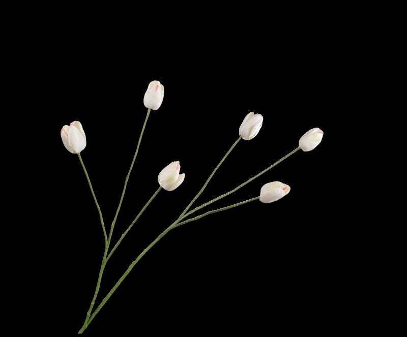 TULP TAK WIT  100 cm