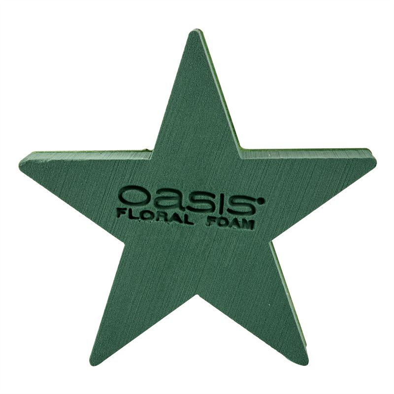 Oasis bioline ster 25x25x4,5 cm pak