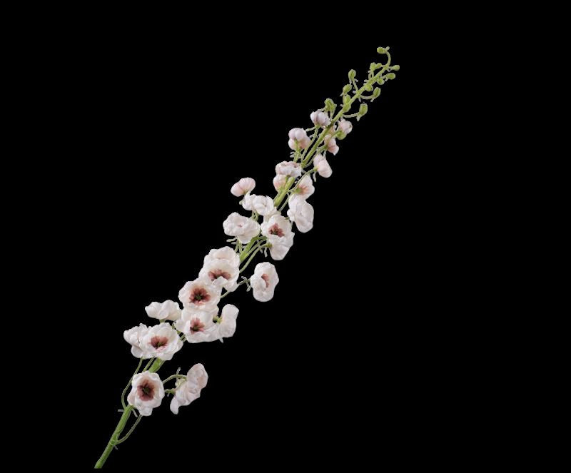 DELPHINIUM STEEL CREME  127 cm